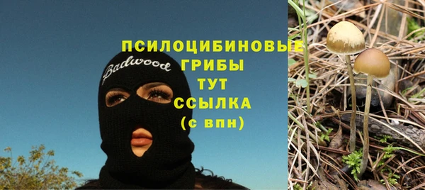 крисы Алексеевка