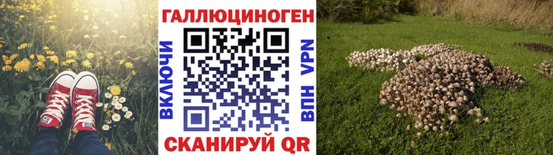 Купить  Тара  Псилоцибиновые грибы Magic Shrooms 